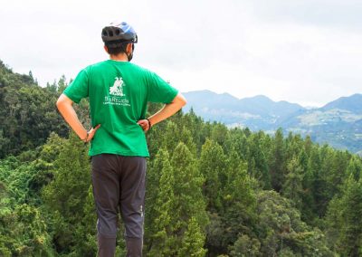 Este mirador permite observar una capa verde compuesta por pinos y cipreses de gran altura y de fondo las montañas de los cerros orientales de Bogotá.